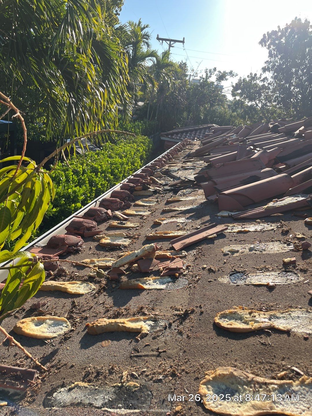 Project in Miami, FL by T&S ROOFING SYSTEMS, INC.