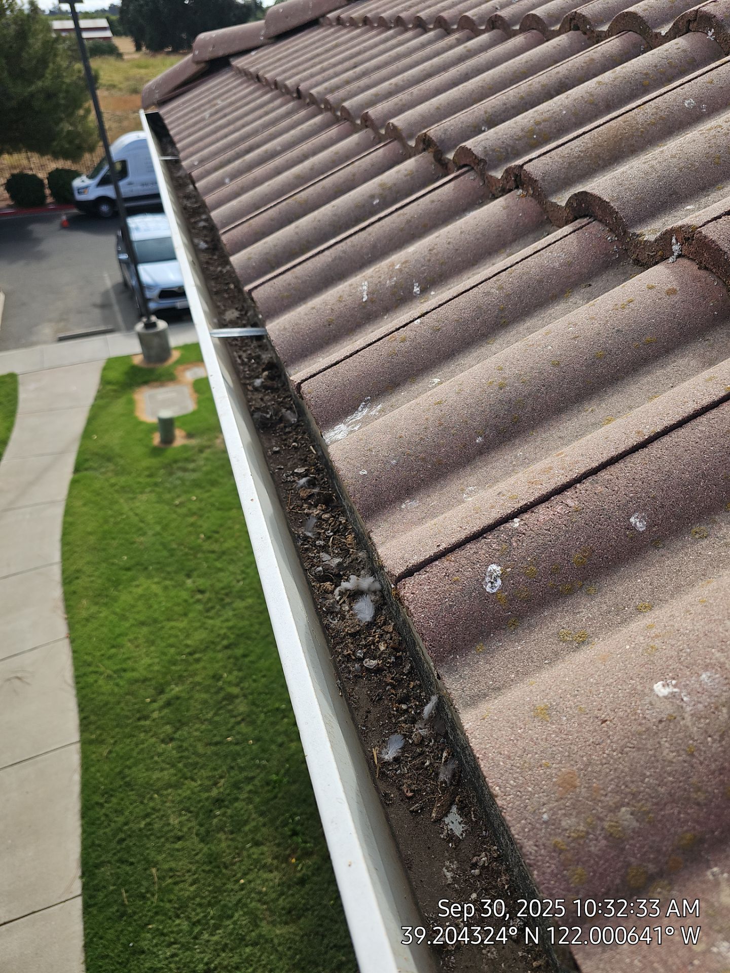 HOA gutter cleaning before photo