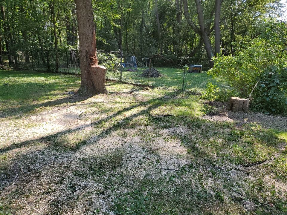 Storm Damaged Tree Removal  by Mike Jones & Sons Tree Service LLC 