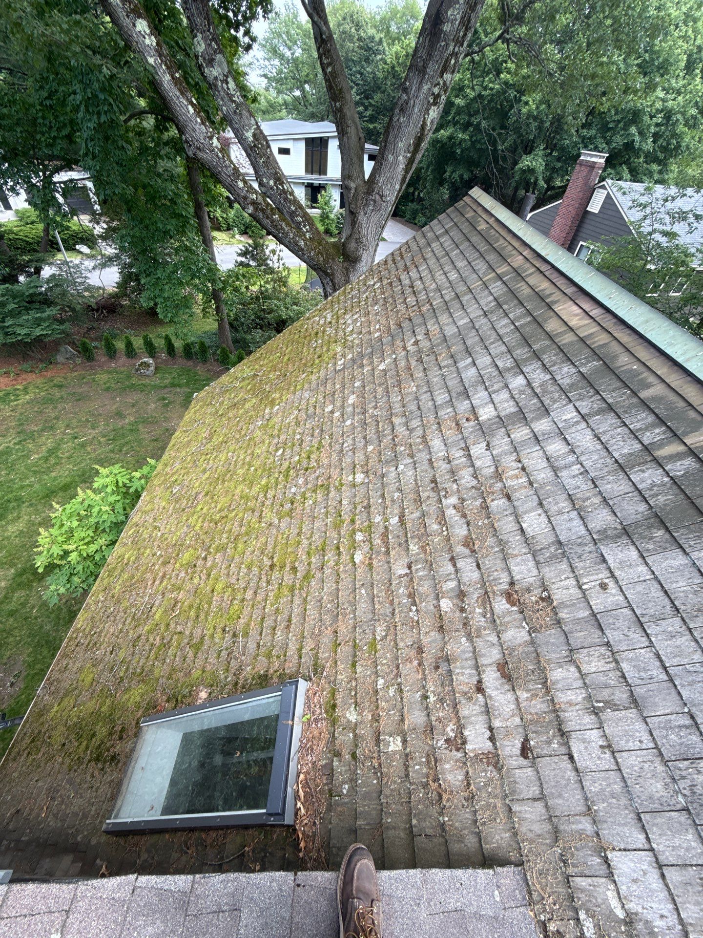Skylight Installation & Structural Modifications in Belmont, MA by Mighty Dog Roofing of Greater Middlesex County
