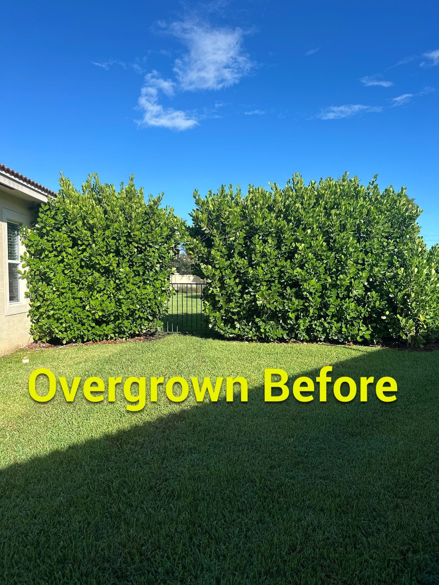 From Overgrown to Picture-Perfect - Stuart Refresh by Alpha Zeta Enterprises Inc