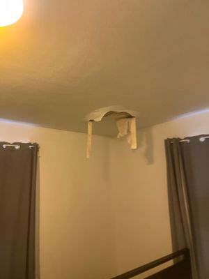 Project in Champaign test 2
