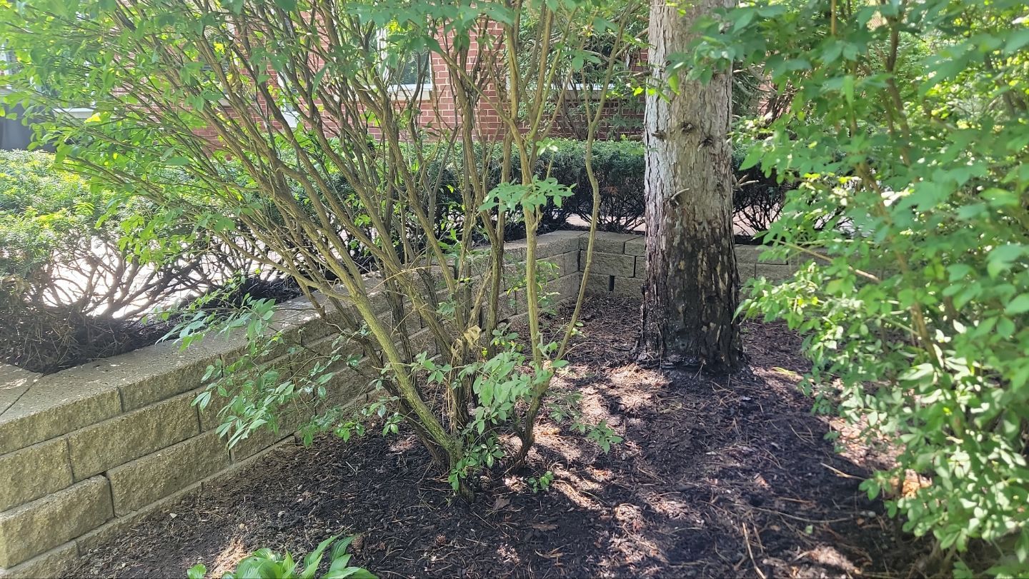 Brick paver repair, clean and seal by Northern Power Washing LLC.