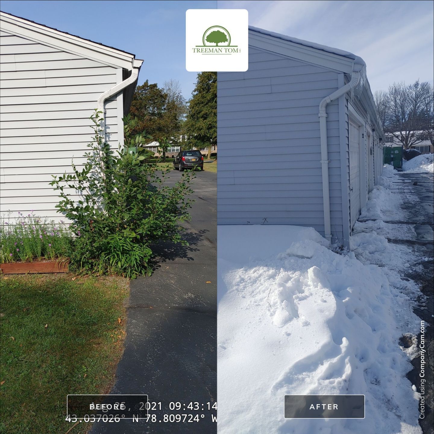 Commercial Project by Treeman Tom LLC