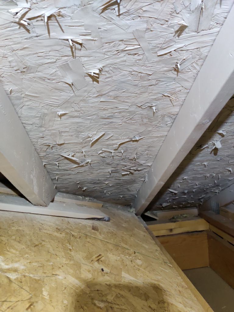 Mold Remediation Cleanup in Attic by Accountable Home Services