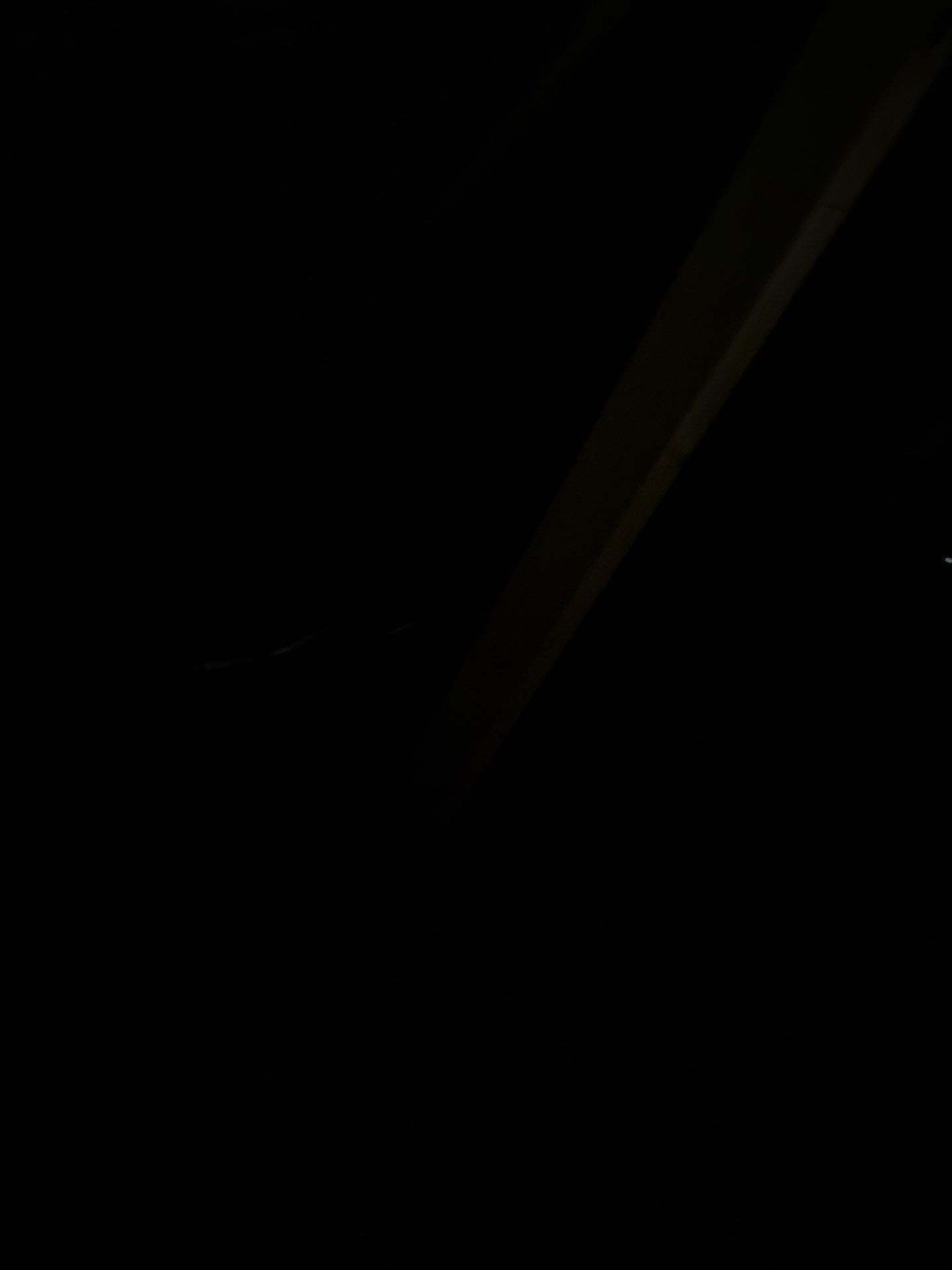 Project in Seattle by Connolly Construction Company