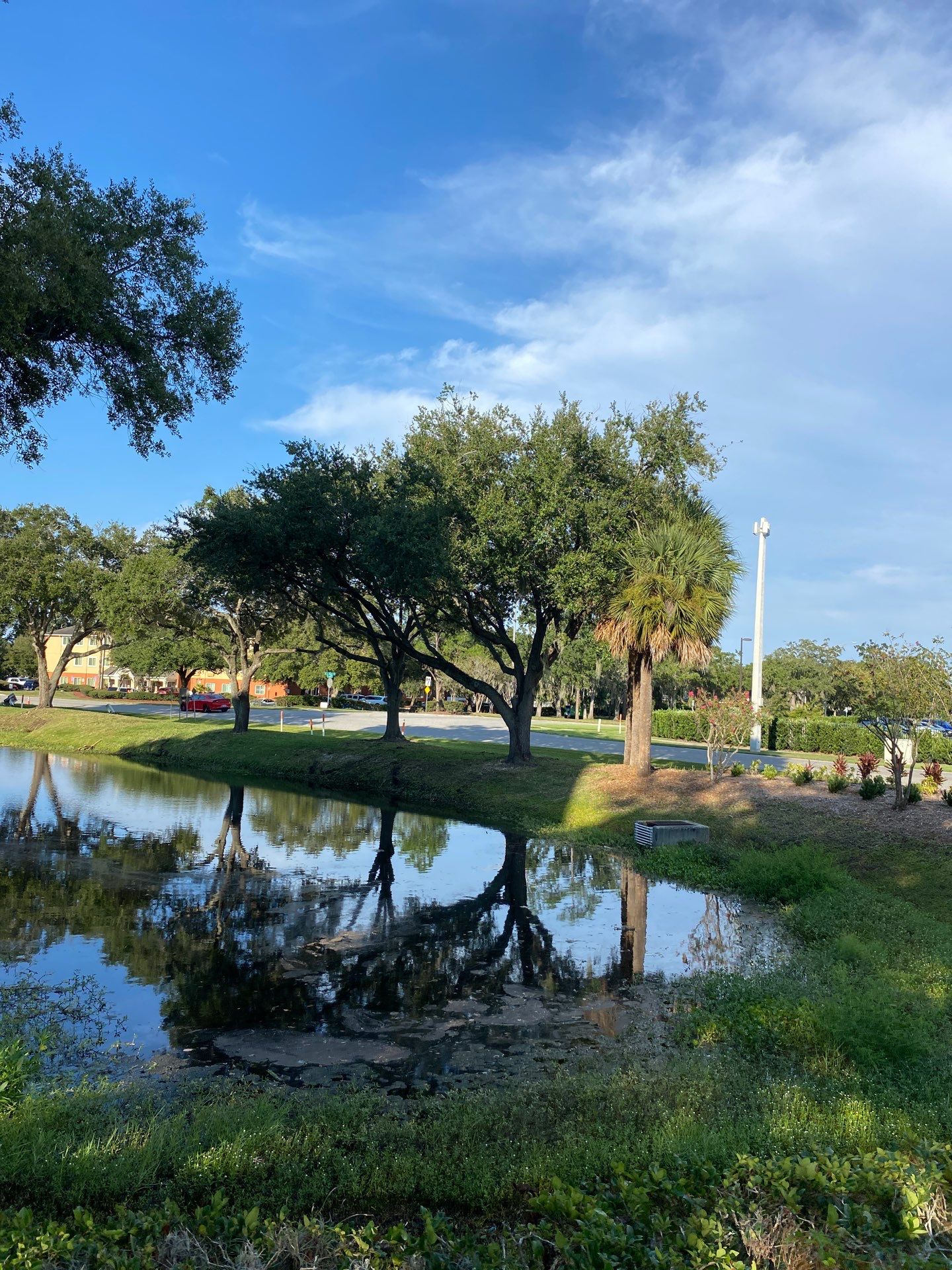 Tree & Shrub Removal | Marriott Hotel by ProGreen Services