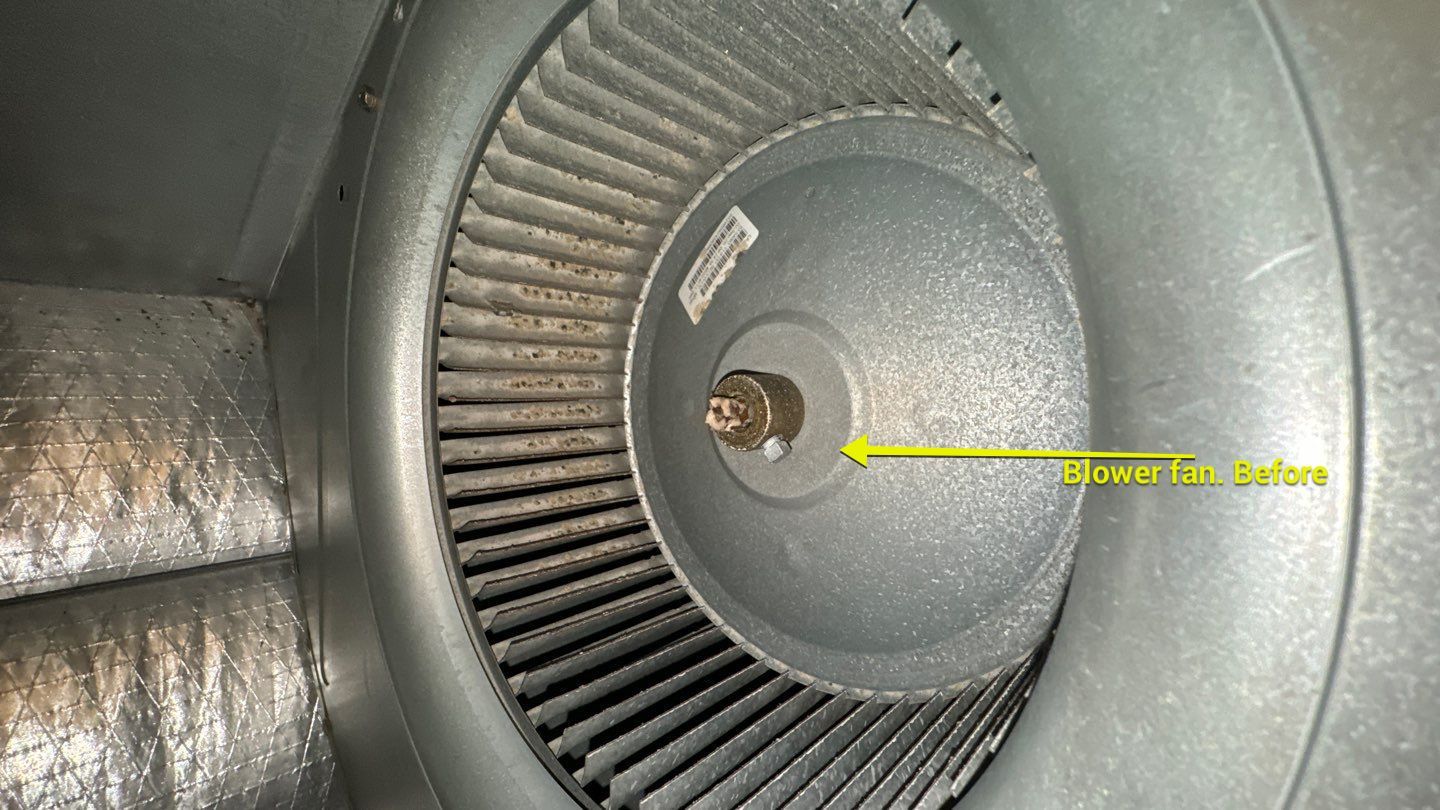 Air Duct Cleaning in Clermont by Hygienic Air, Inc