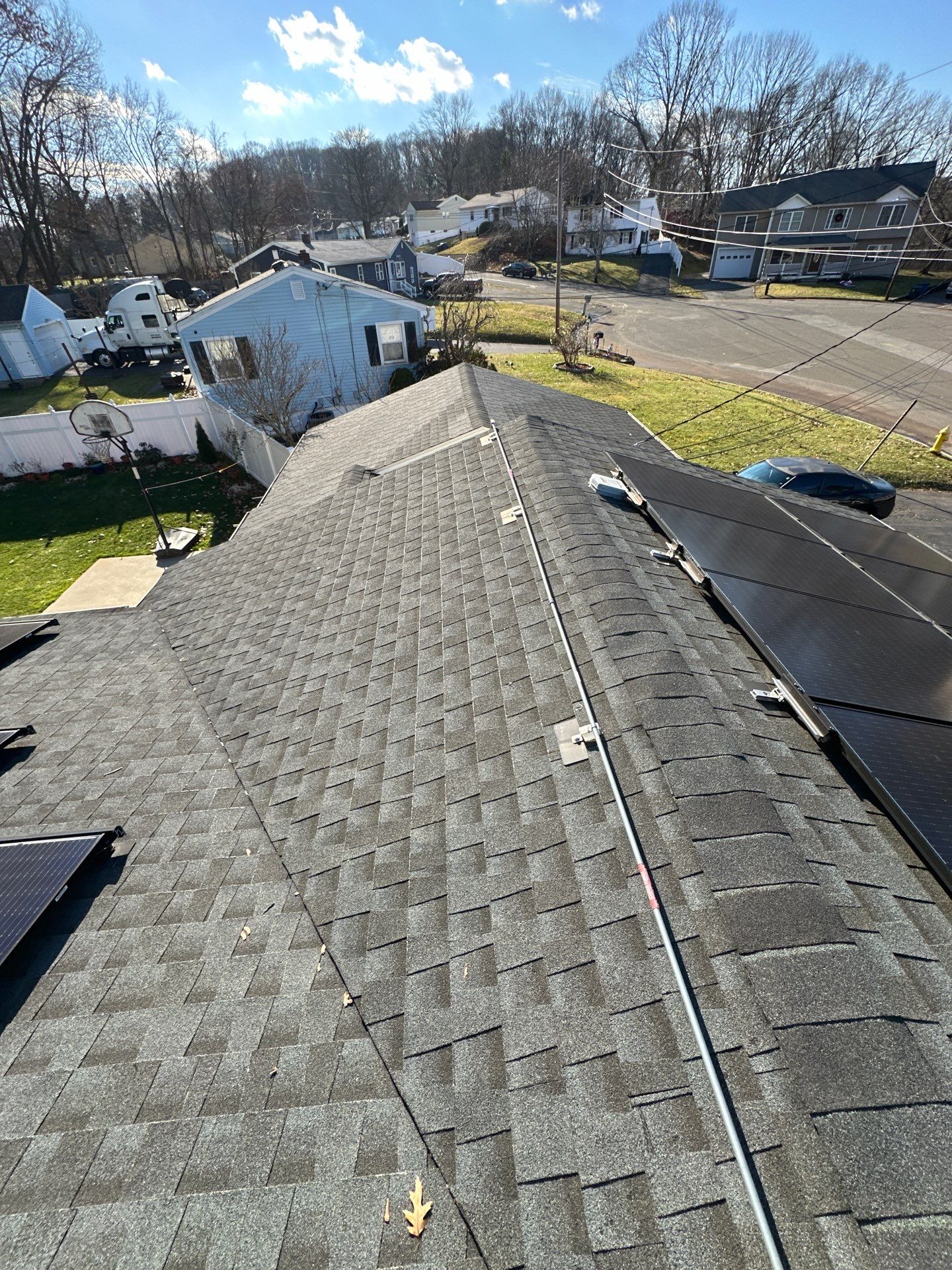 Silver Birch Shingles by Reimagine Roofing