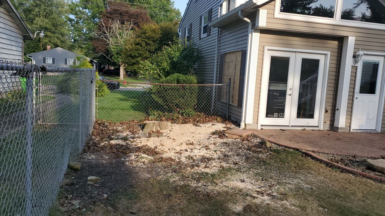 Oak Tree Removal by Mike Jones & Sons Tree Service LLC 