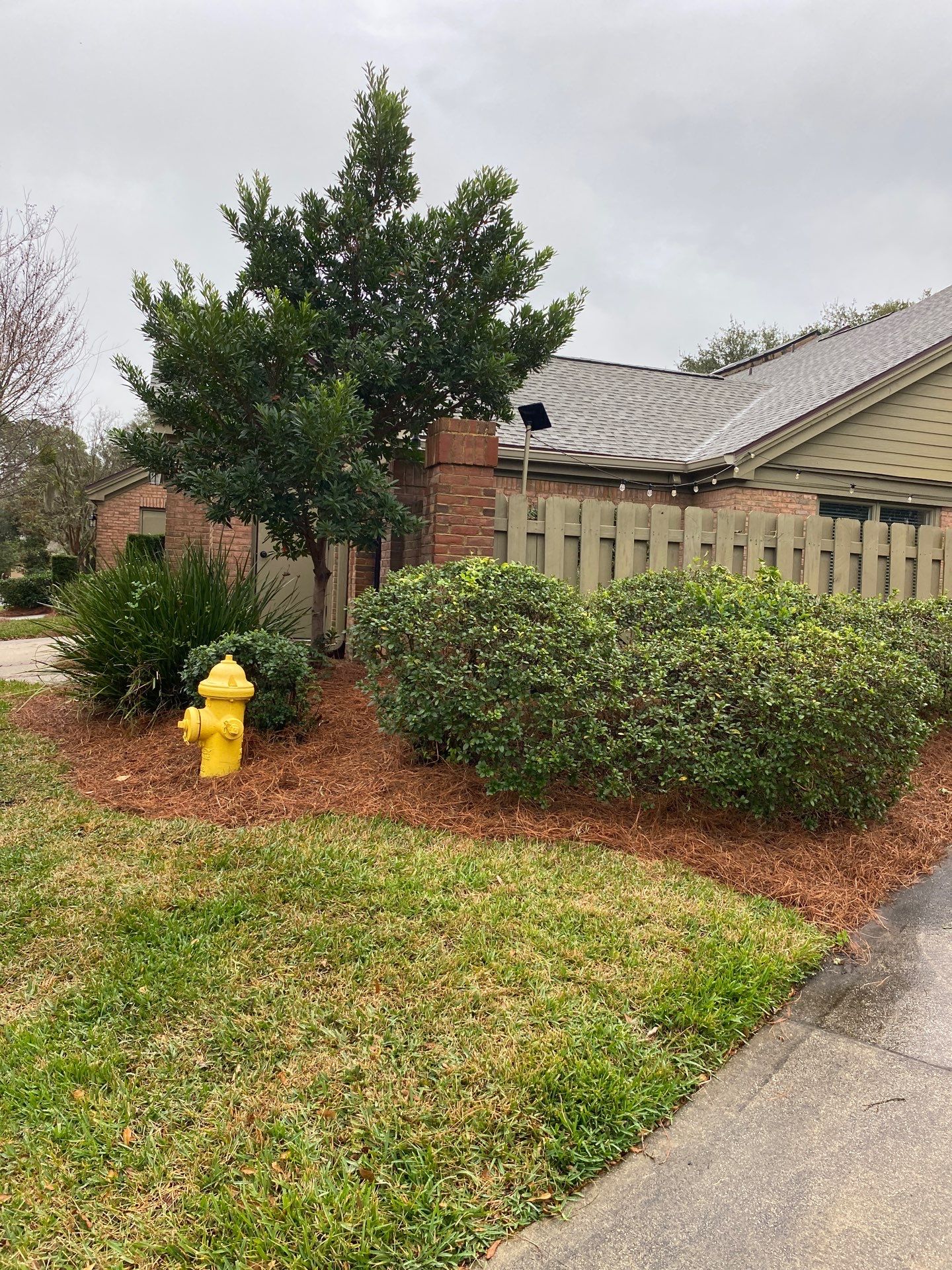 Deerwood Pointe | Tree Removal & Pine Straw Installation by ProGreen Services