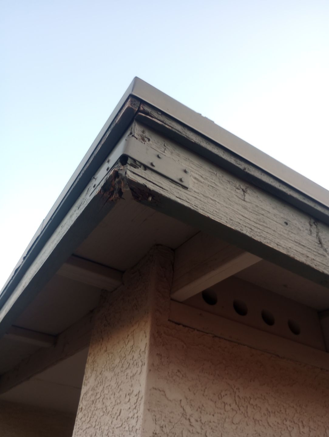 Exterior Painting - Phoenix by Crash of Rhinos Painting & Garage Floors
