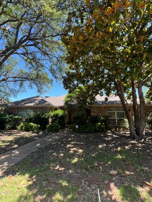 Project in Dallas