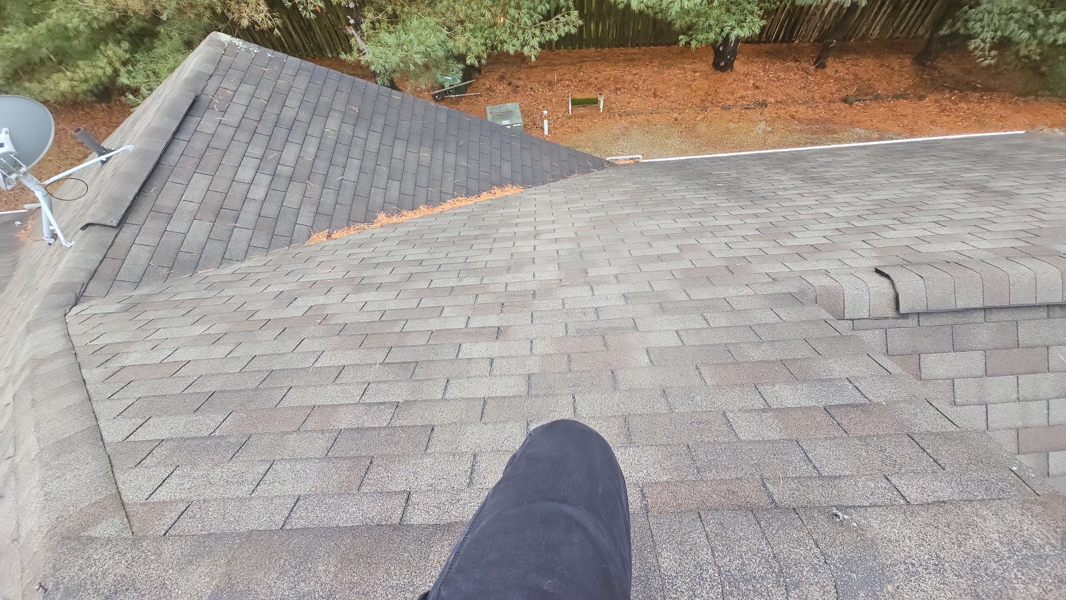 Alpha Rib, Color: Forest Green by Eagle Eye Roofing