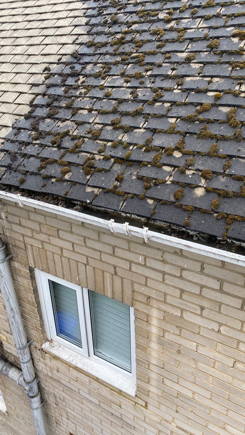 Roof Clean - Moss Removal using Honda 15lpm Low Pressure Washing Machine by Ges Exterior Cleaning ltd