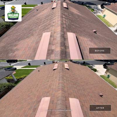 Residential Roof Cleaning and Exterior House Wash in Orlando