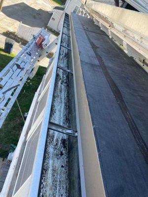 Tyee Repair