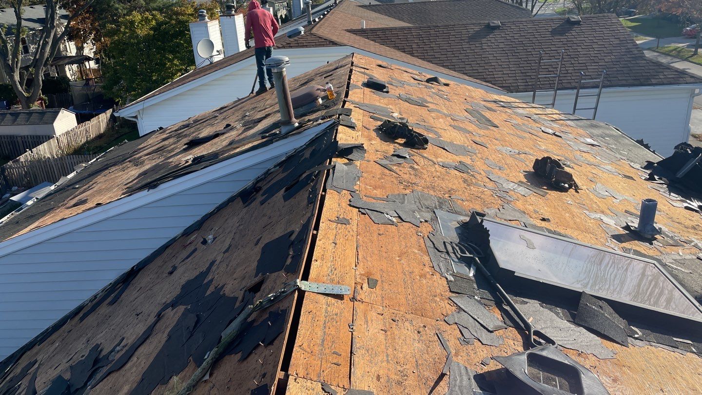 Multi-family unit roof replacement. using GAF Timberline HDZ by Pro Home Services Inc