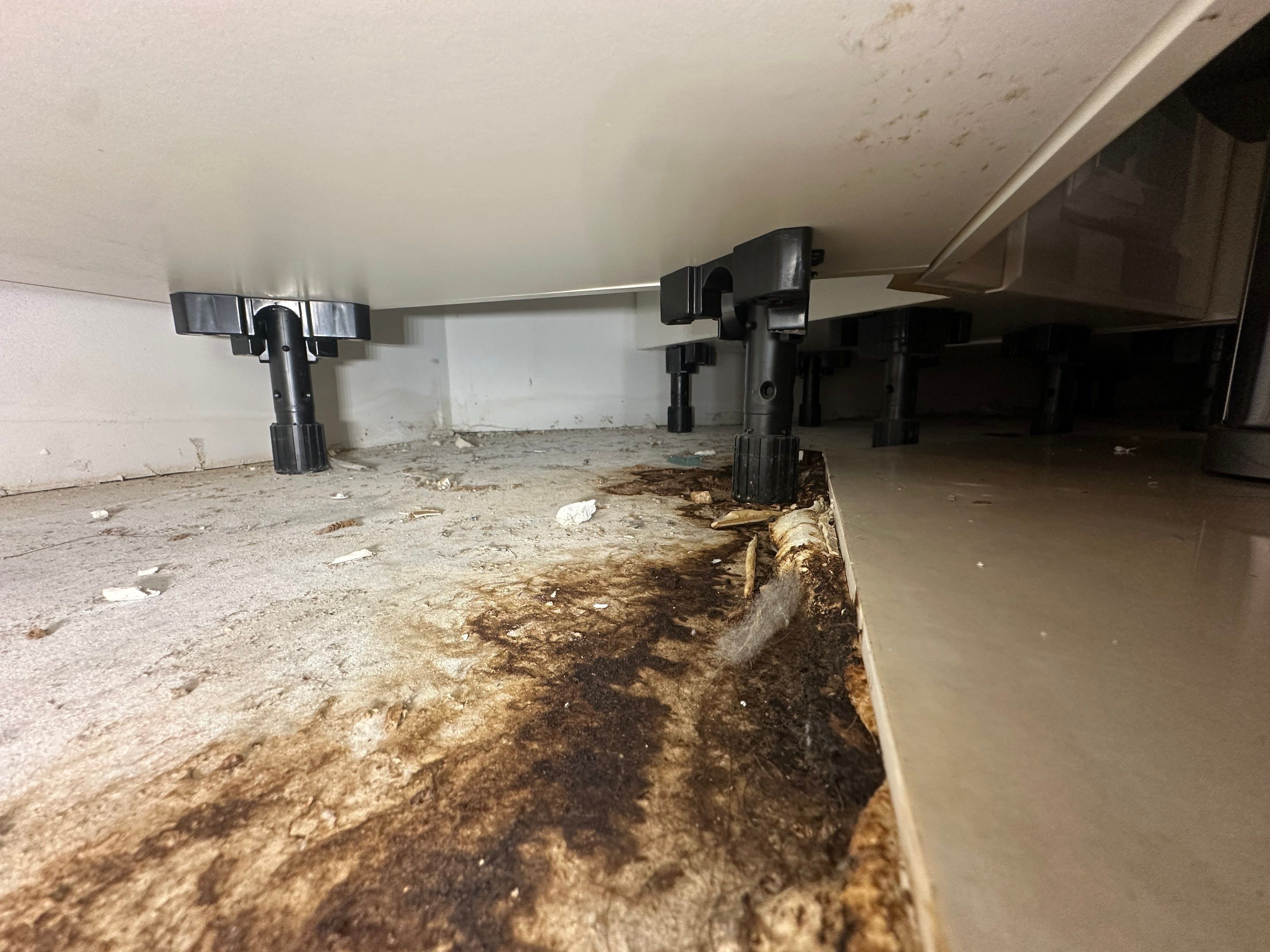 Water Damage Claim in aventura by FLAPA & KeyStone