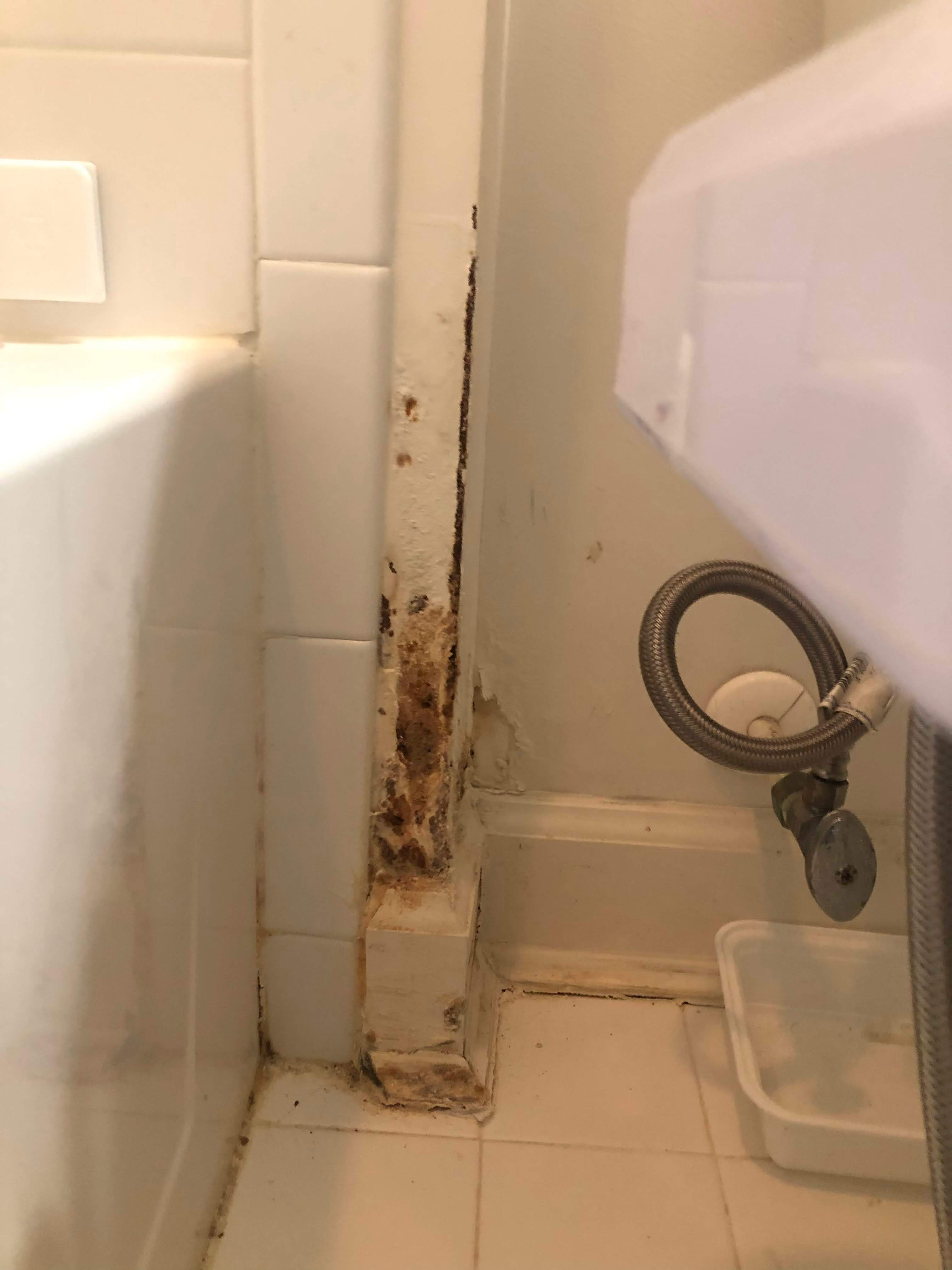 Water Damage Restoration by RJC General Construction, LLC.