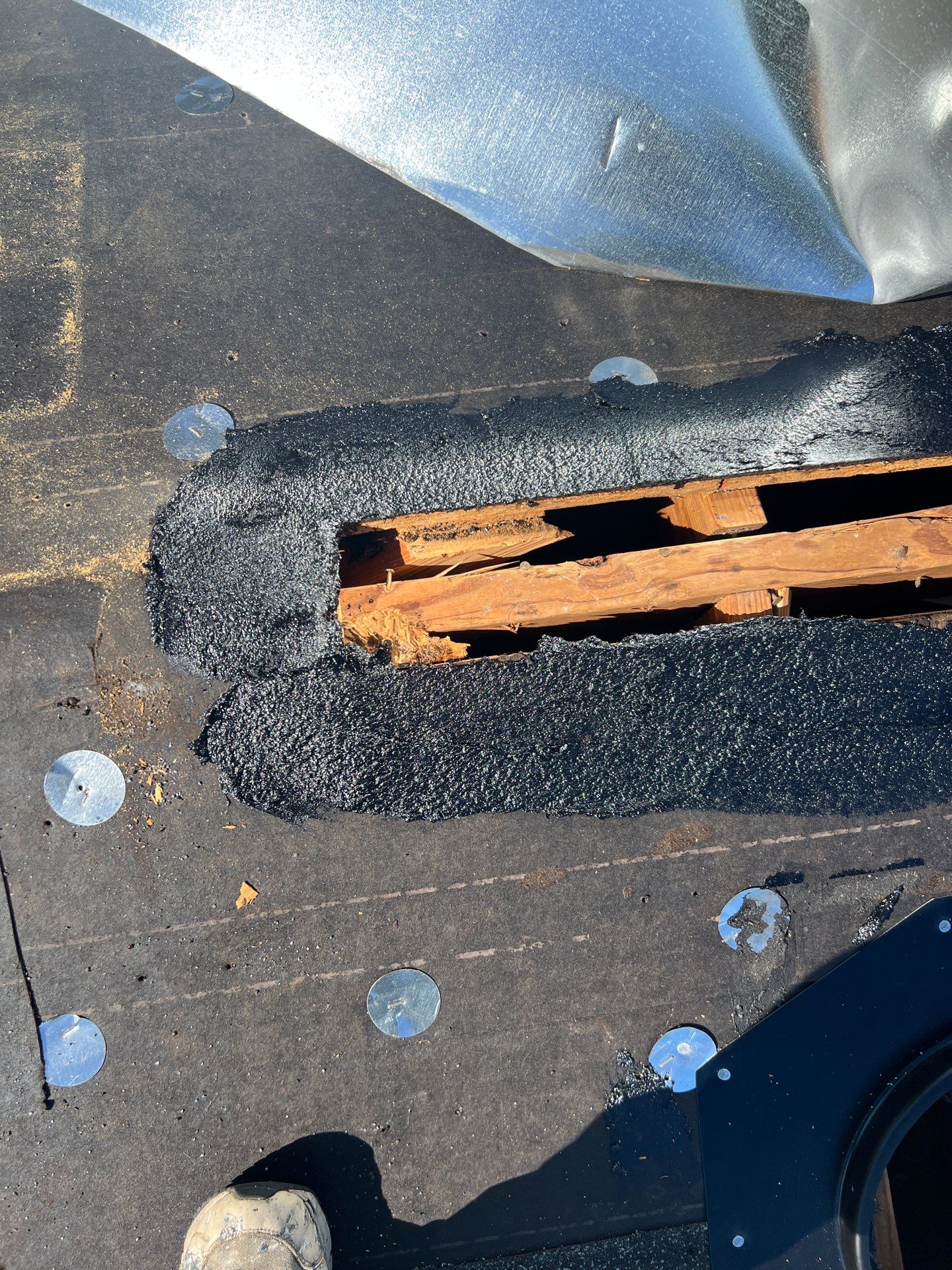 Let My Attic Breathe!!!!! by Bayfront Roofing and Construction