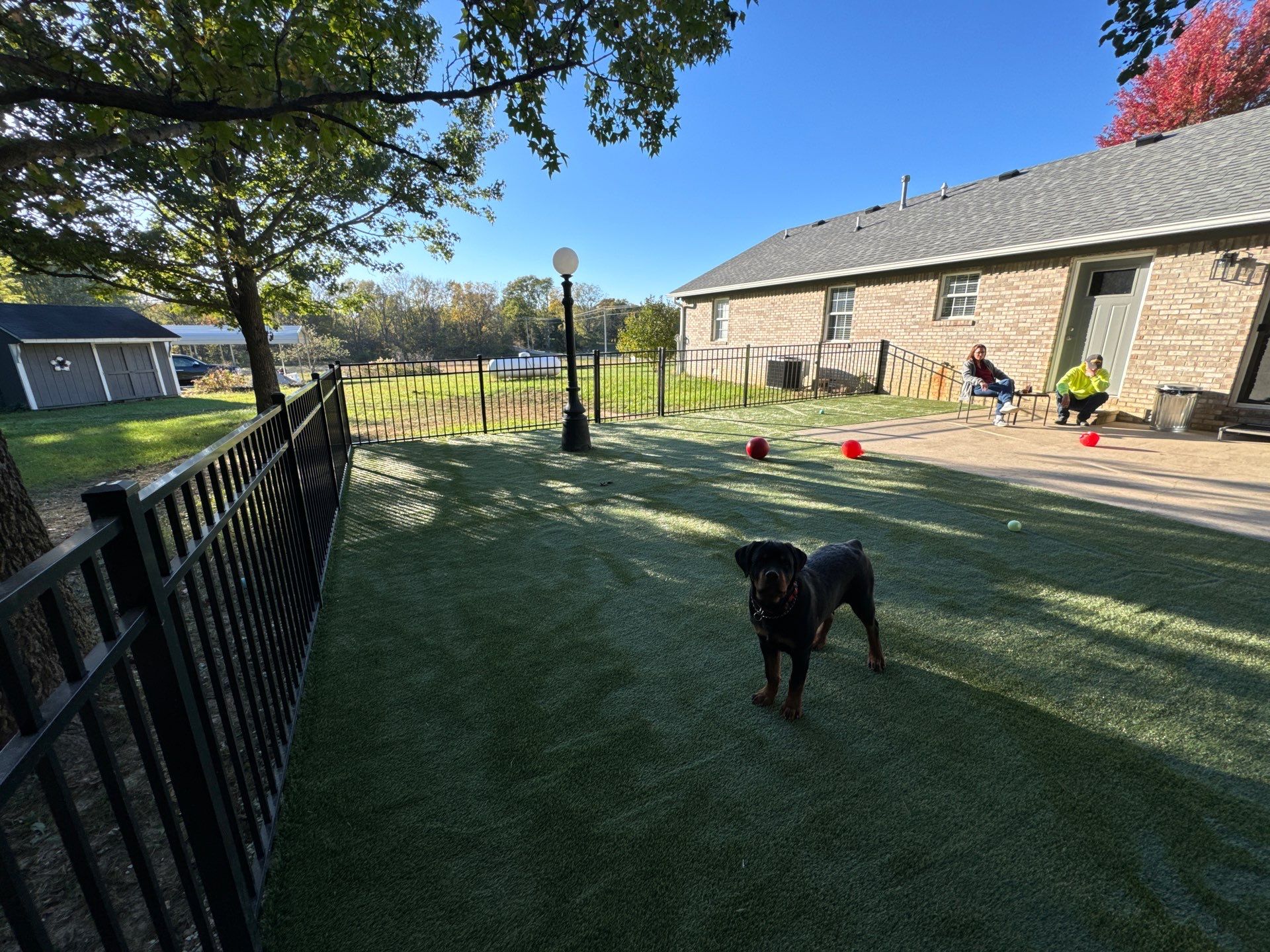 K9Grass in Danville, IN by ForeverLawn NEIN/INDY
