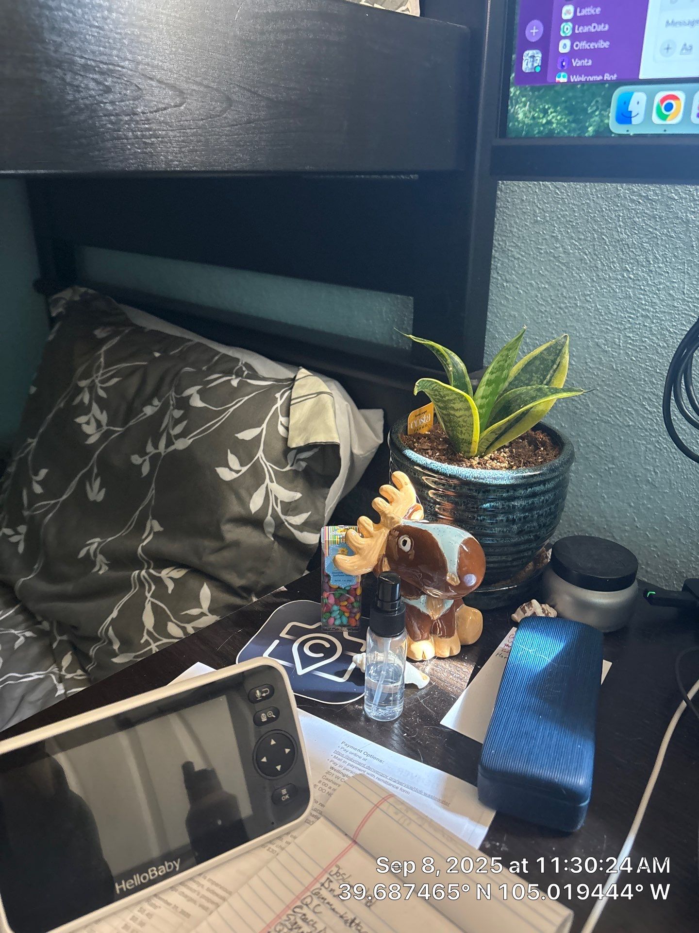 Jones Extierior by CompanyCam Sales Demo