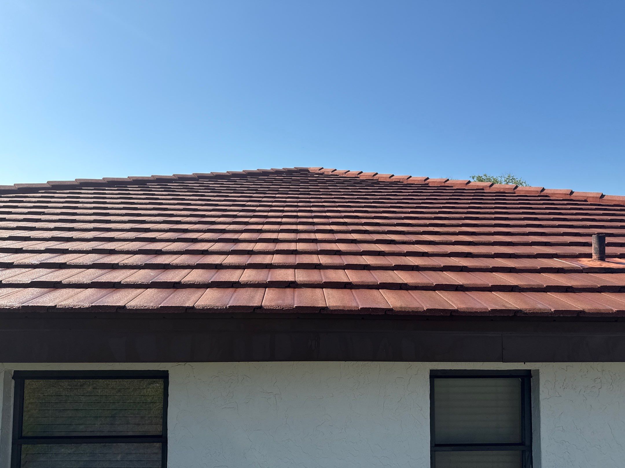 Tile Roof Cleaning – Vivenda at Bradenton I (5-Star Review & Plant Protection) by Sunshine AquaWash
