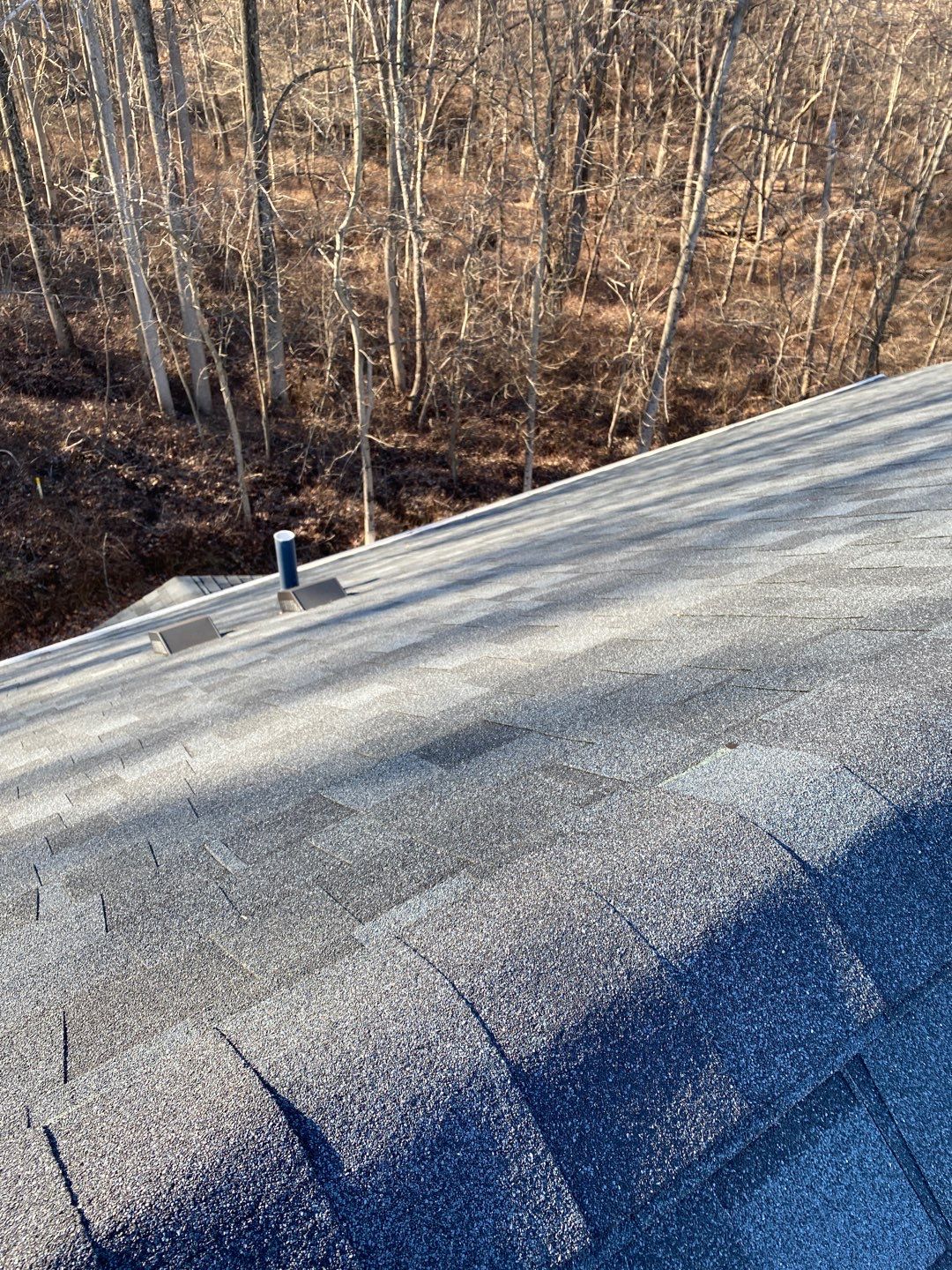 Roof Repair  by Alpha Design Services