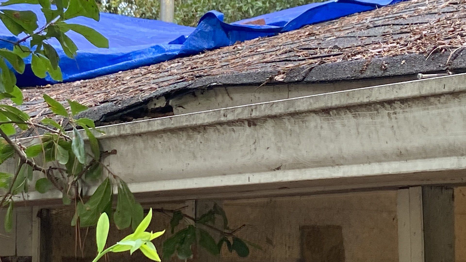 Roof rescue! ๐ก by Georgia Roof Advisors