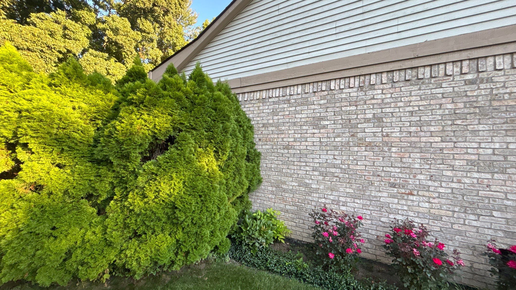 Siding Replacement using Alside D5" Flagship Brown by 180 Contractors