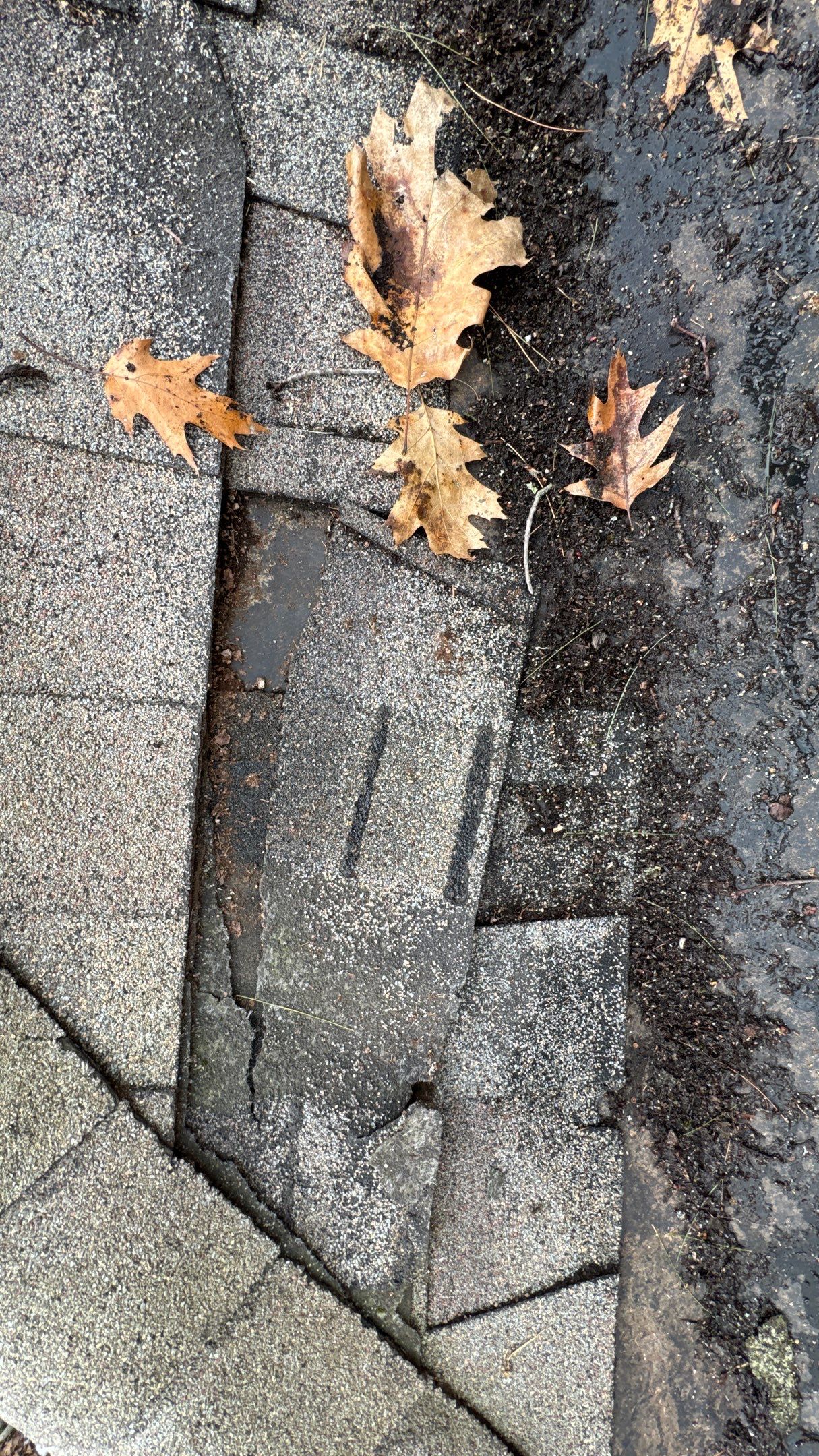 Roof Replacement using Owens Corning Colonial Slate by 180 Contractors