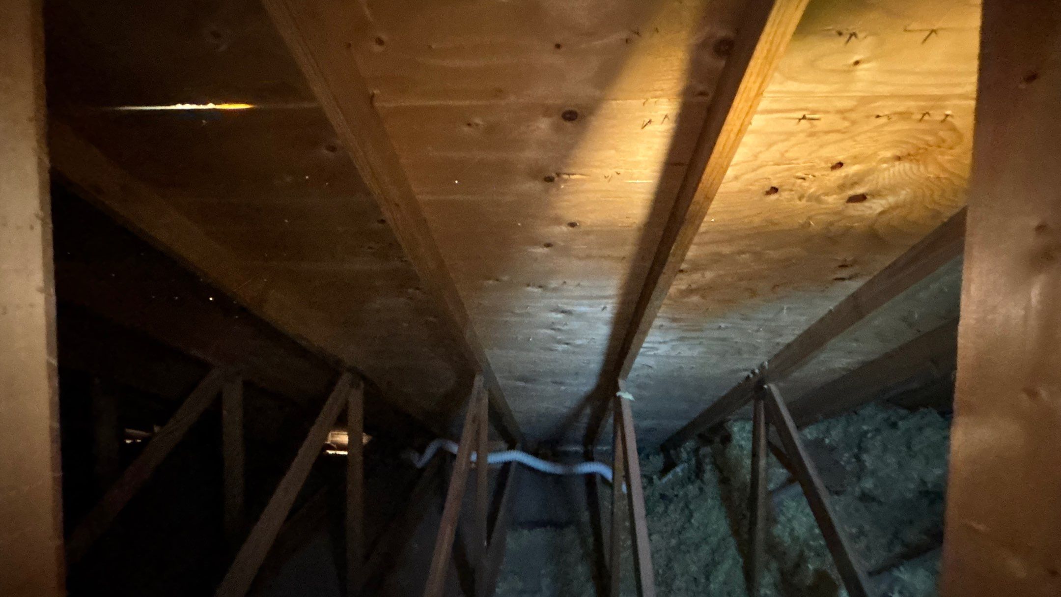 Roof Replacement using Owens Corning Midnight Plum by 180 Contractors