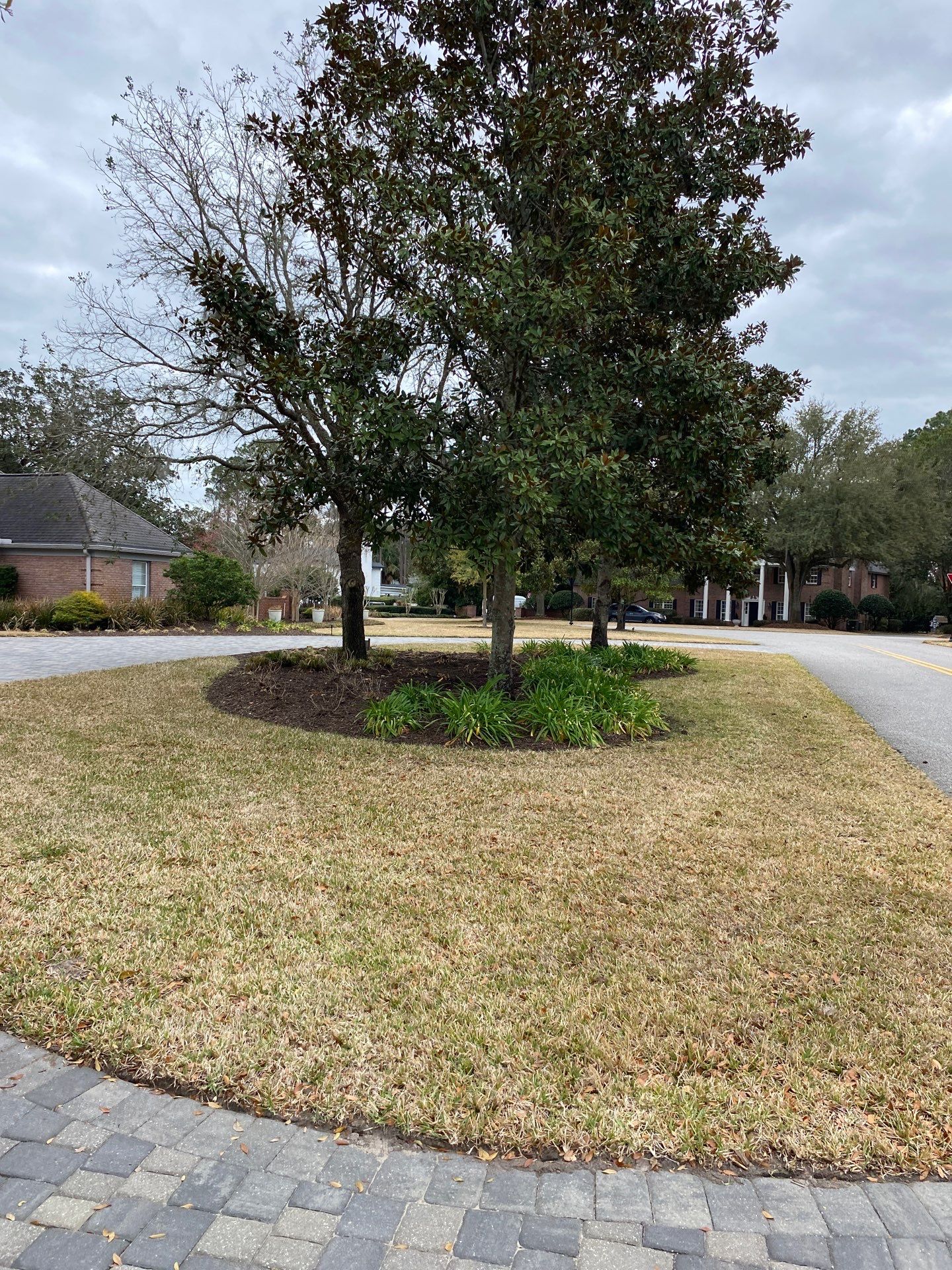 Deerwood Resident | Tree Removal & Mulch Install by ProGreen Services