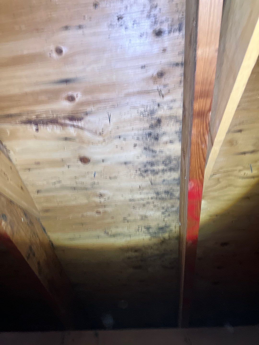 Residential Roofing Repair by Storm Guard of South Metro Denver