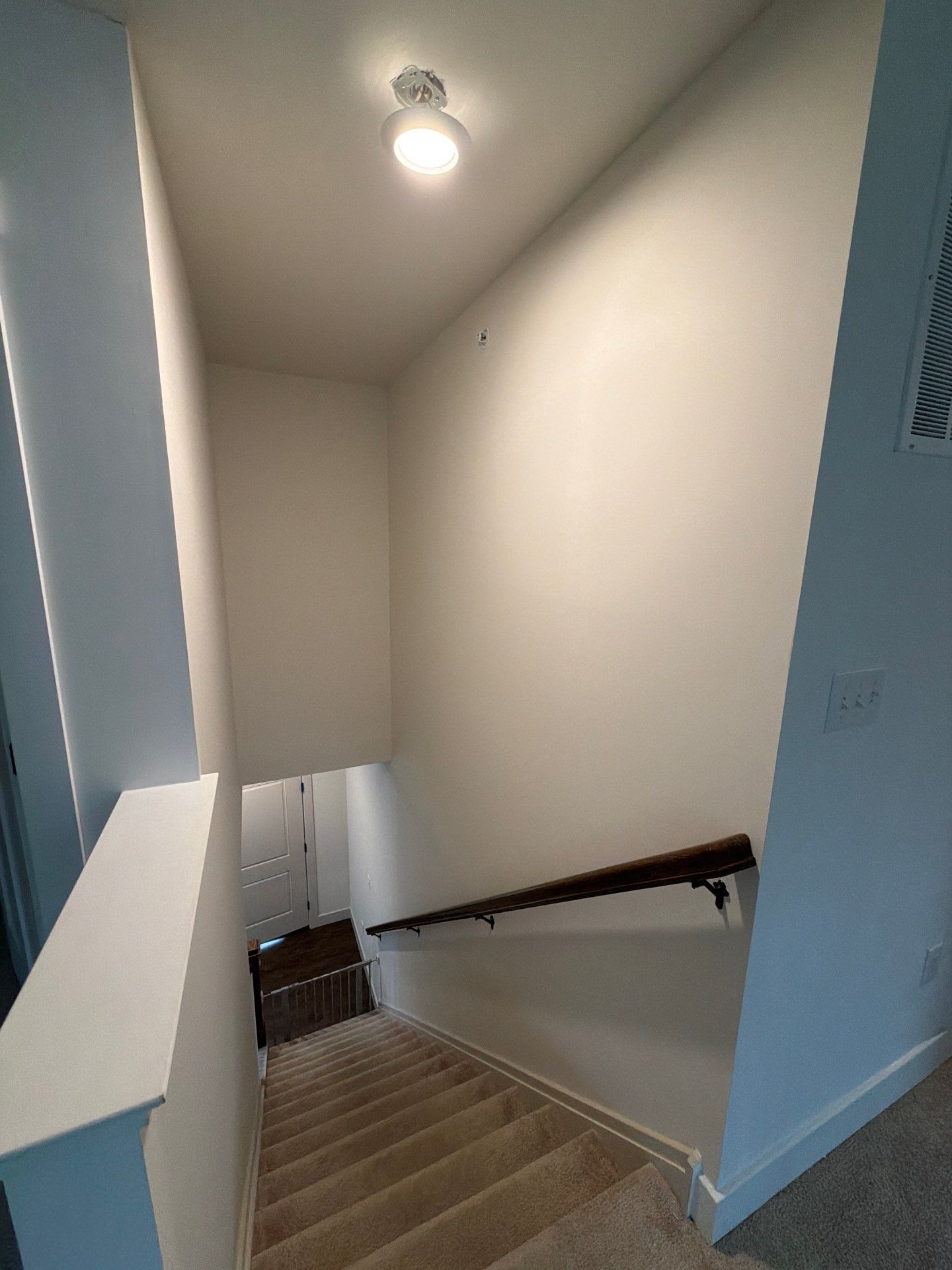 Whole-Home Interior Refresh in Malvern by Groovy Hues