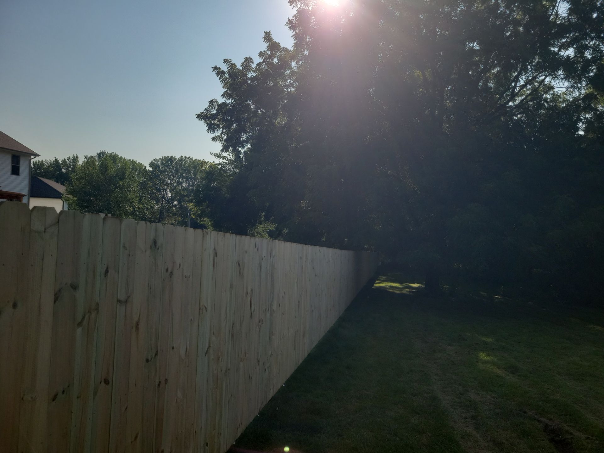 Pressure-Treated Wood Privacy Fence Replacement in Cedar Falls by Perfect Picket Fence and Stain