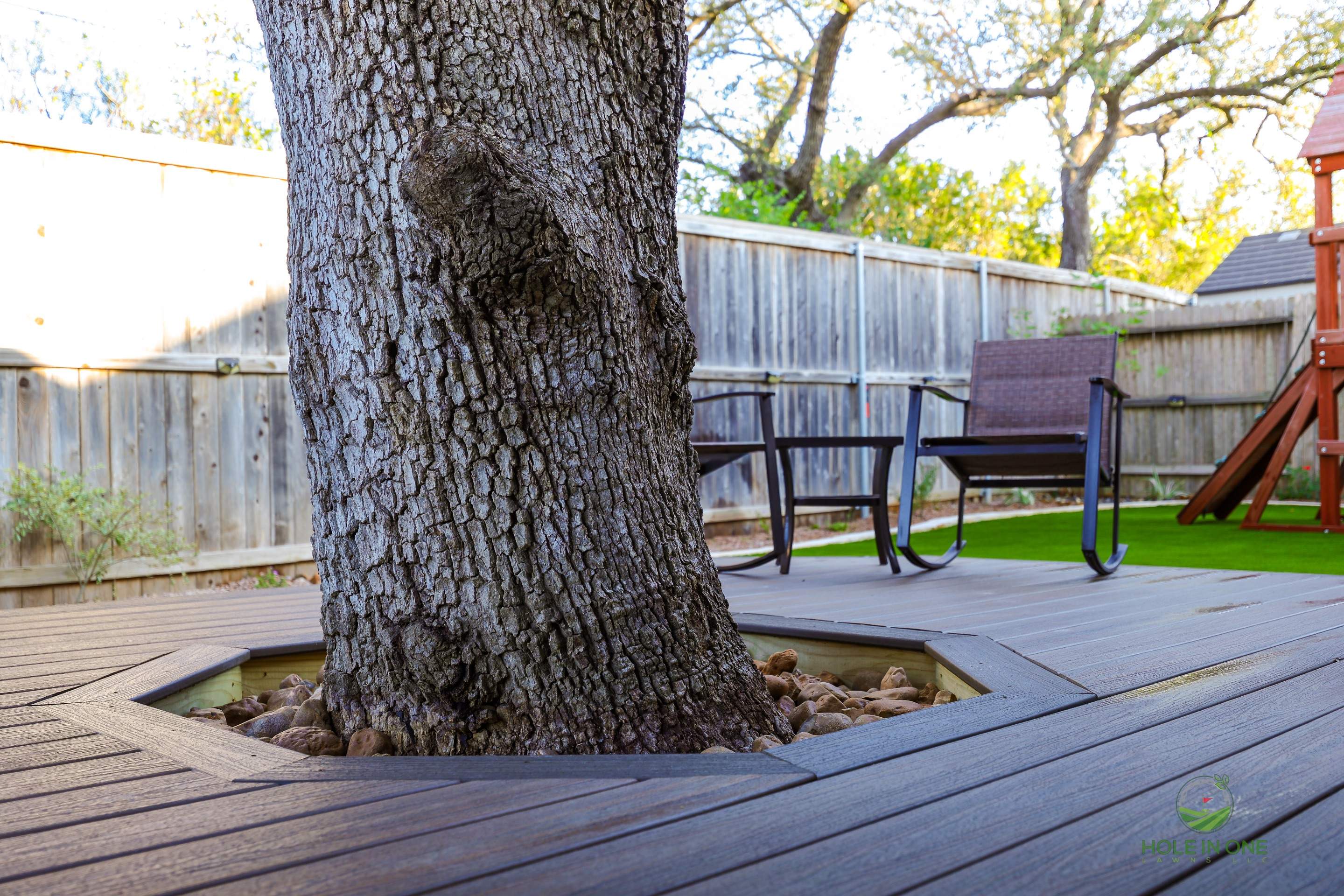 Wortham Oak, San Antonio Tx. by Hole In One Lawns, LLC