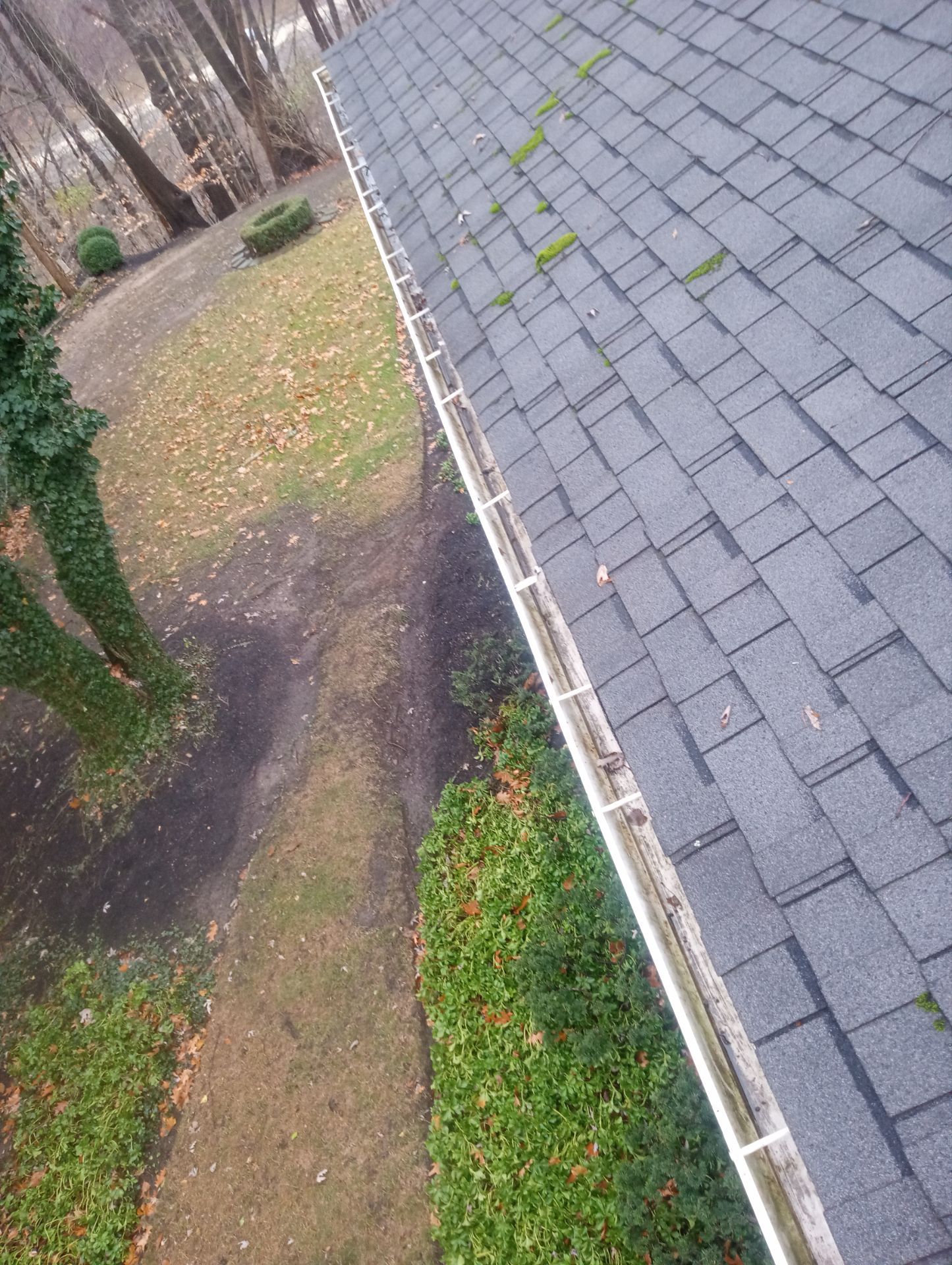 Dan Raines by Silver Leaf Contracting 