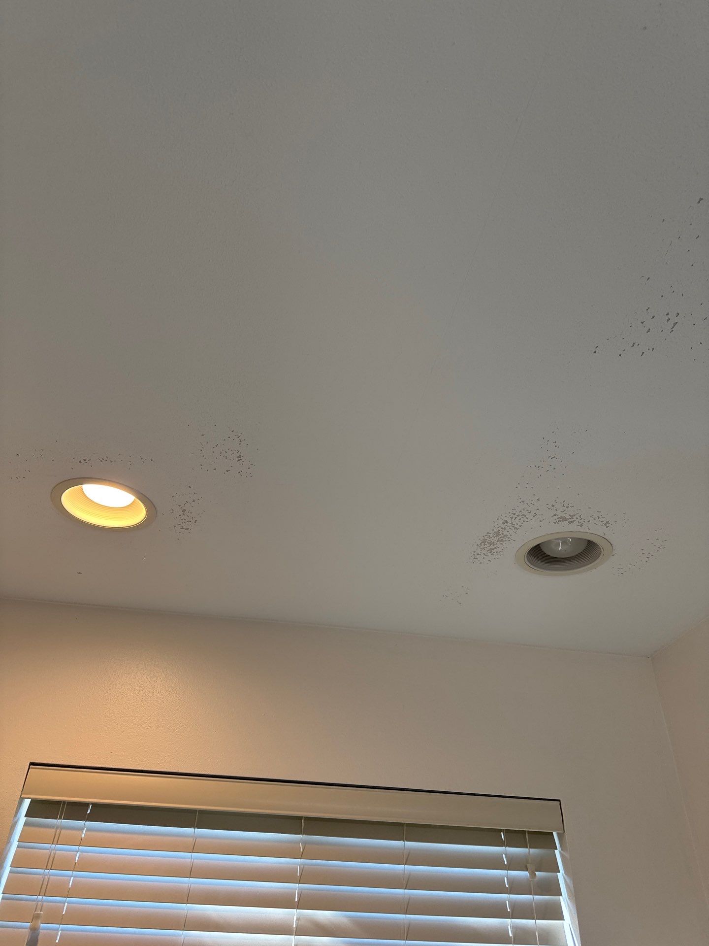 Interiror Wall and Ceiling Finishing by OCS Contracting Services