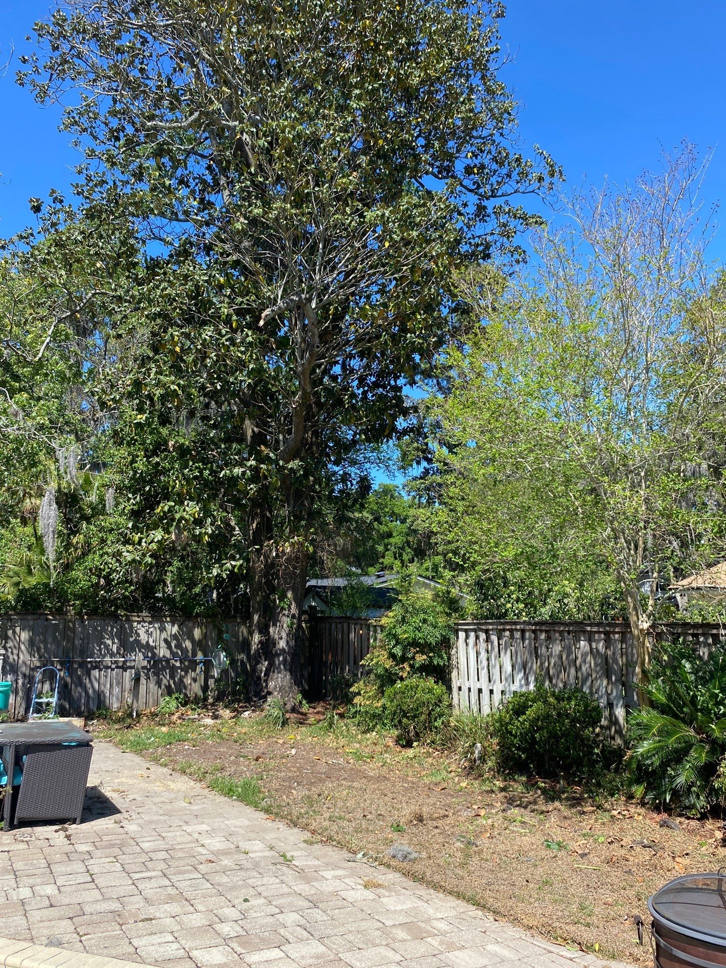 Residential | Tree Removal & Trimming by ProGreen Services