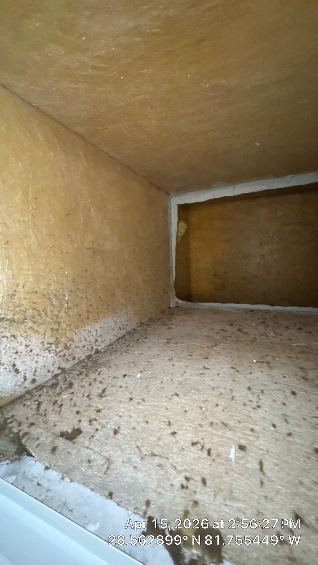 Air Duct Cleaning in Clermont by Hygienic Air, Inc