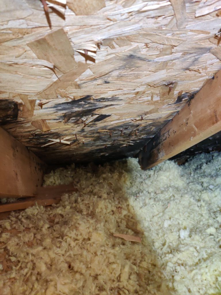 Mold Remediation Cleanup in Attic by Accountable Home Services