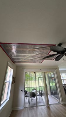 Mold Remediation — Estero, FL