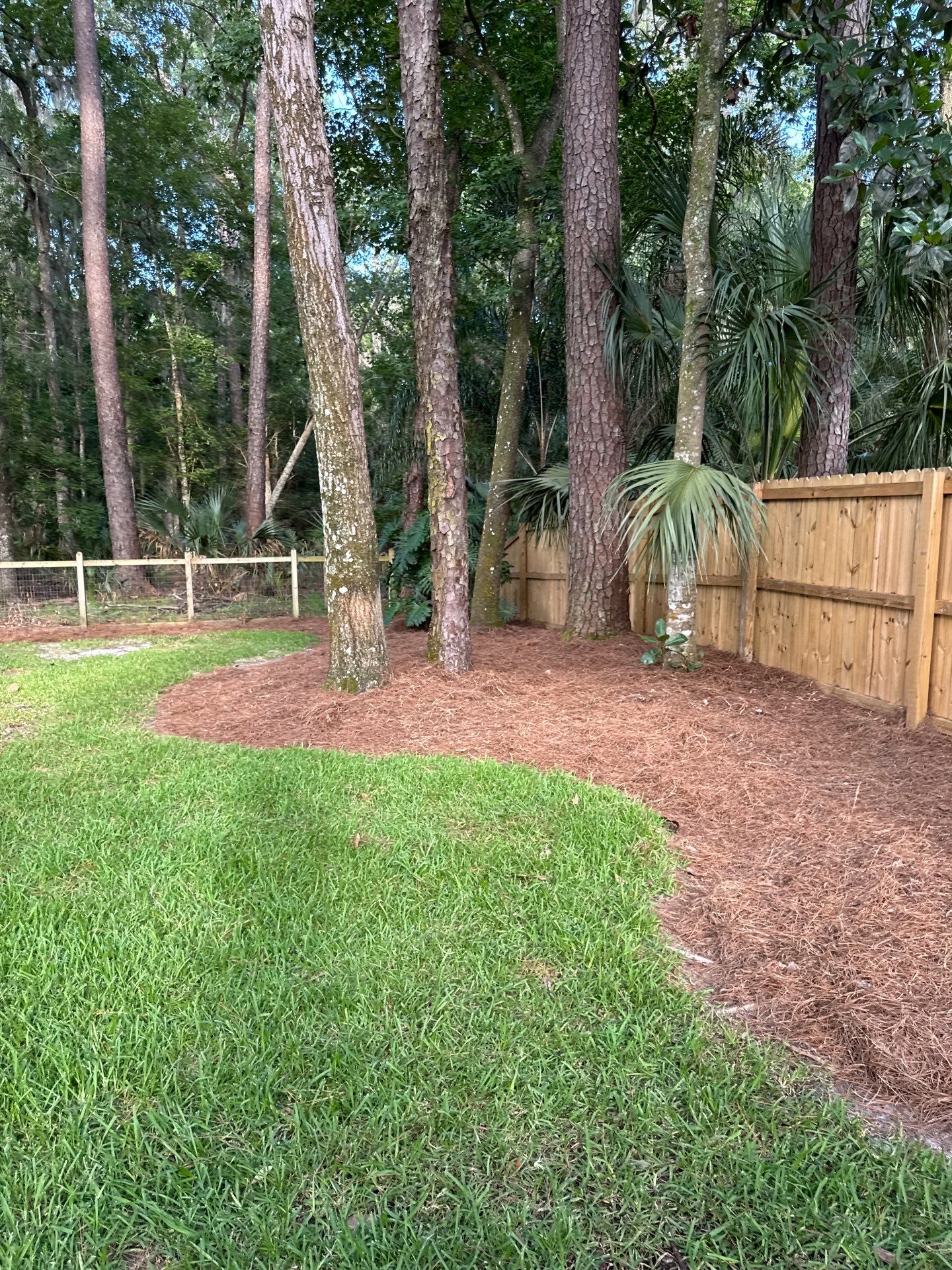 Deerwood Resident | Sod & Bed Design/Plant Installation by ProGreen Services