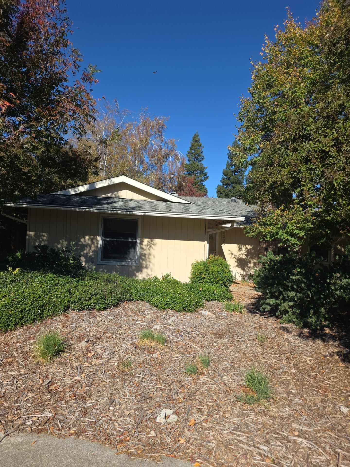 Roof Rejuvenation using Roof Maxx Treatment by Roof Maxx of Folsom