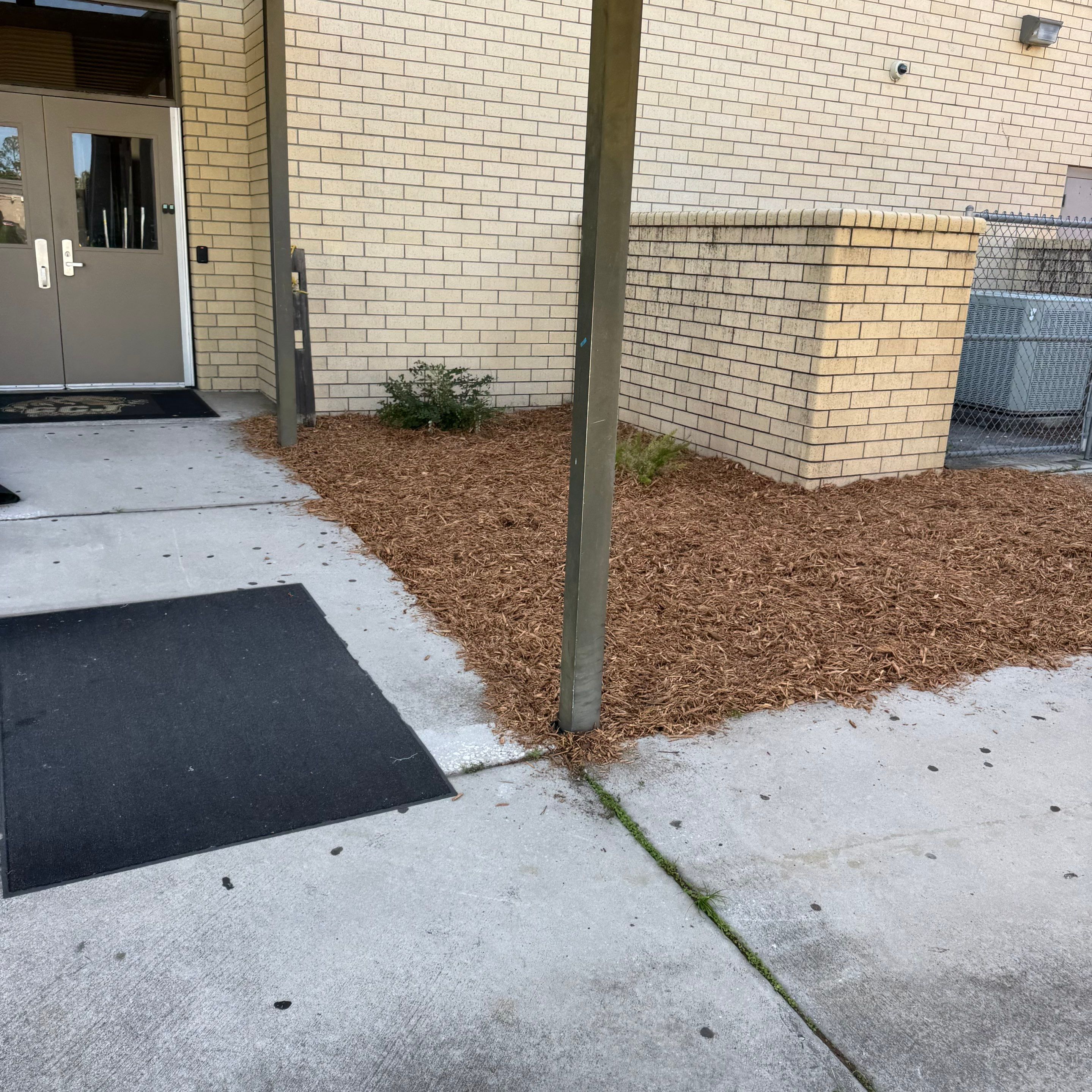 Green Cove Springs Junior High School | Landscape Refresh by ProGreen Services