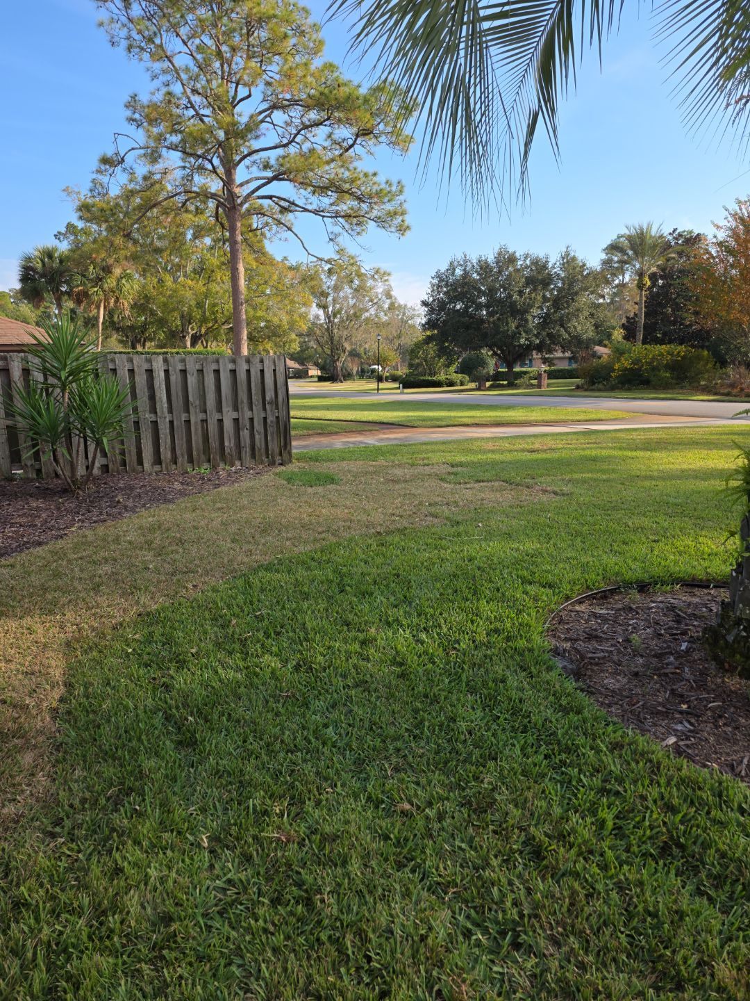 Deerwood Resident | Winter Sod Replacement by ProGreen Services