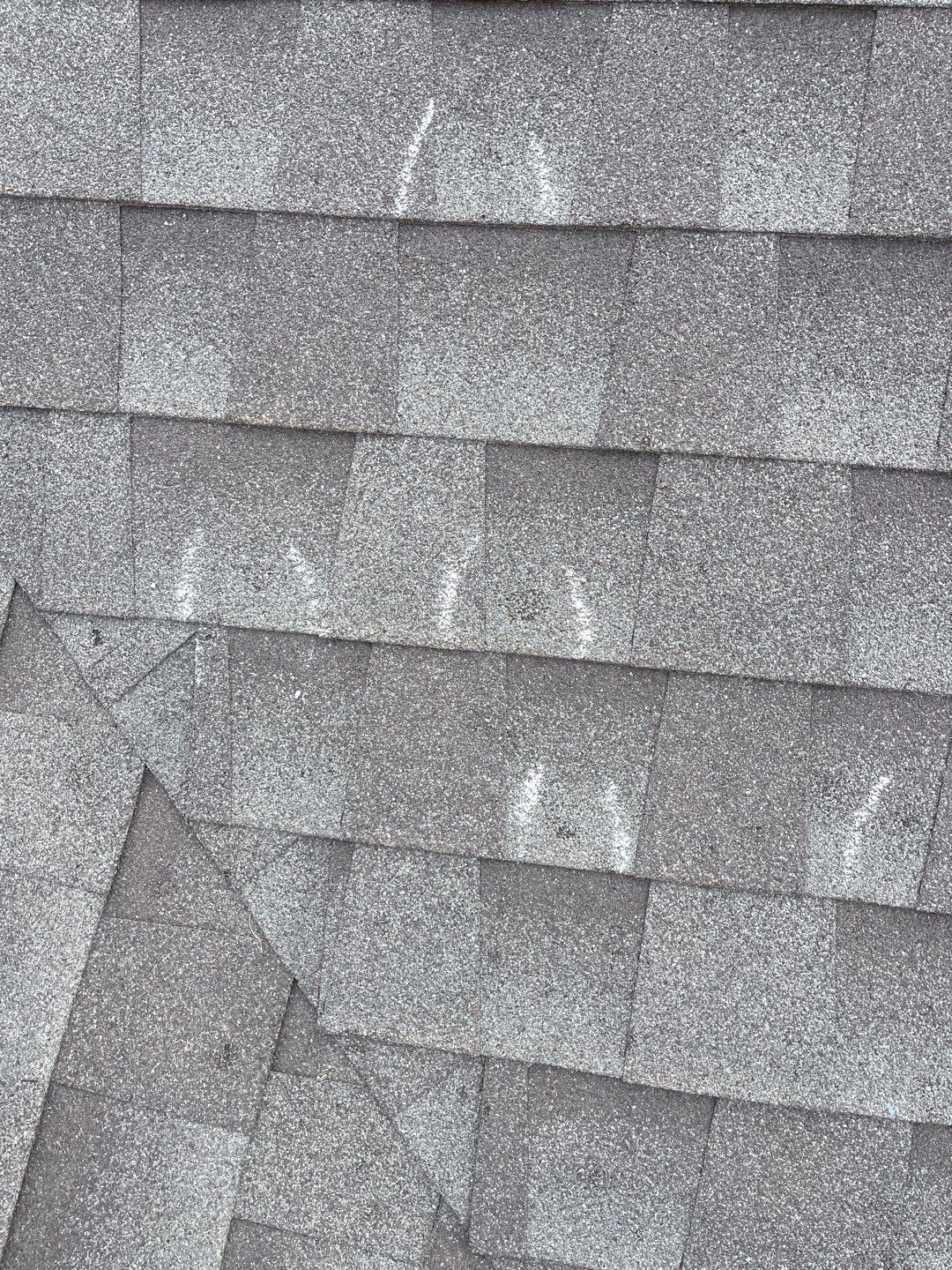 Residential Roof Replacement using Malarky - IR by Elite Roofing LLC