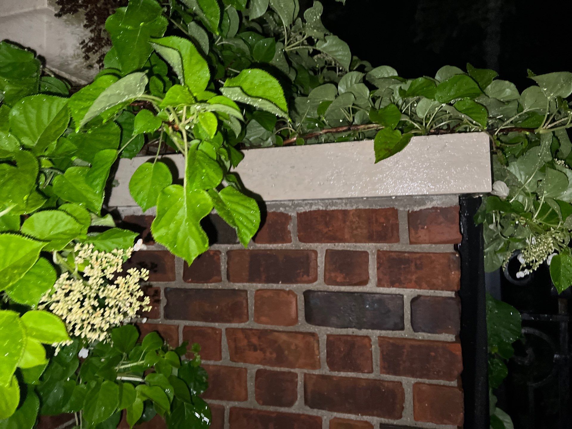Brick paver clean, sand and seal.  using Algaecide, soft wash soap by Northern Power Washing LLC.